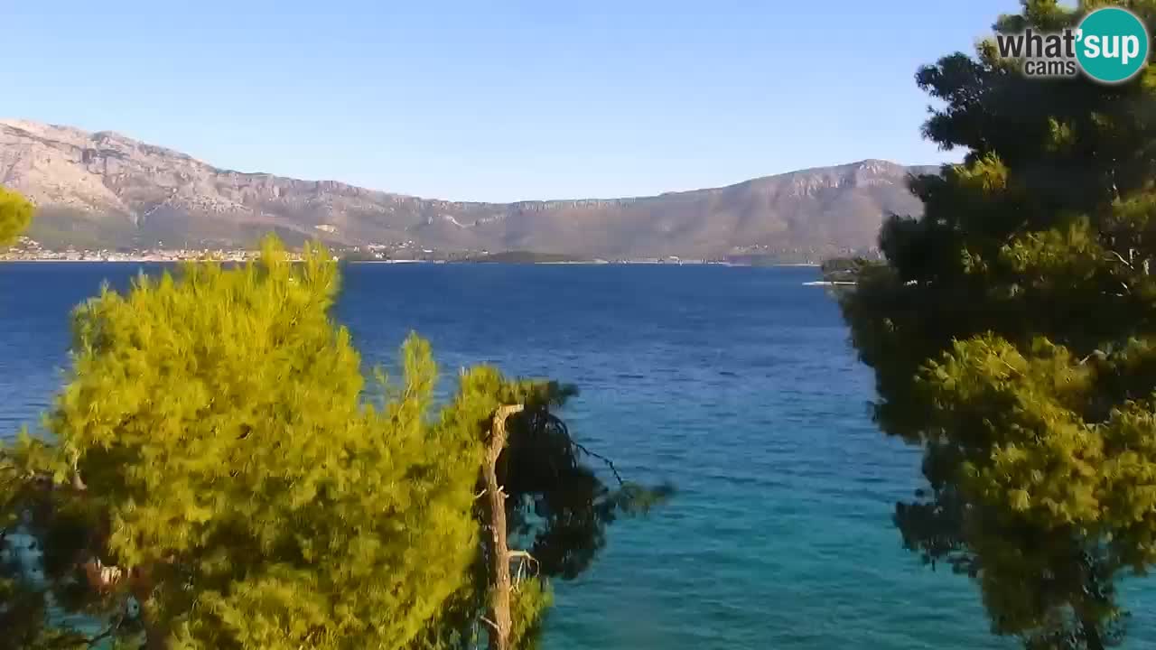 Lumbarda Resort camera en vivo Korčula