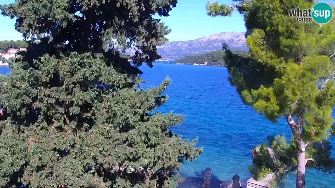 Lumbarda resort – livecam Korčula
