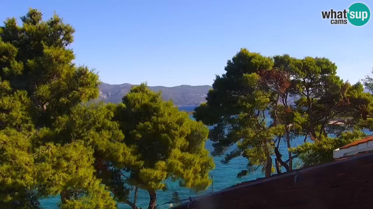 Lumbarda Resort camera en vivo Korčula
