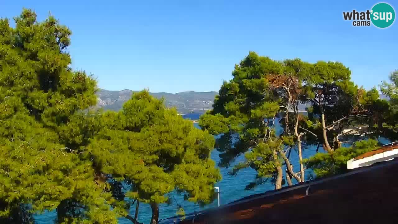 Lumbarda resort Web Kamera Korčula