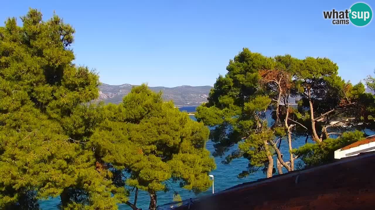 Lumbarda resort Webcam Korčula