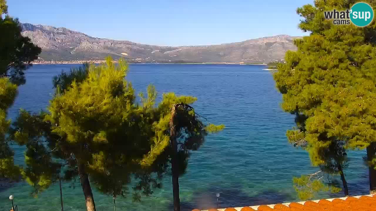 Lumbarda resort Webcam Korčula