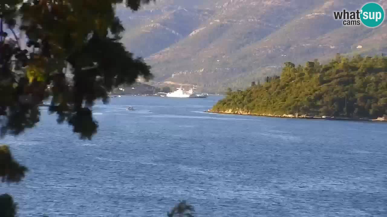 Lumbarda resort Webcam Korčula
