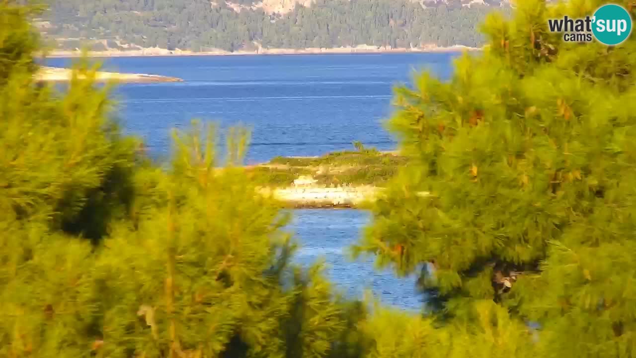 Lumbarda resort – livecam Korčula