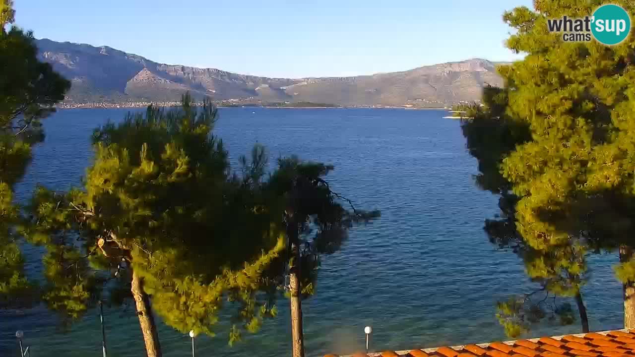 Lumbarda Resort live cam Curzola
