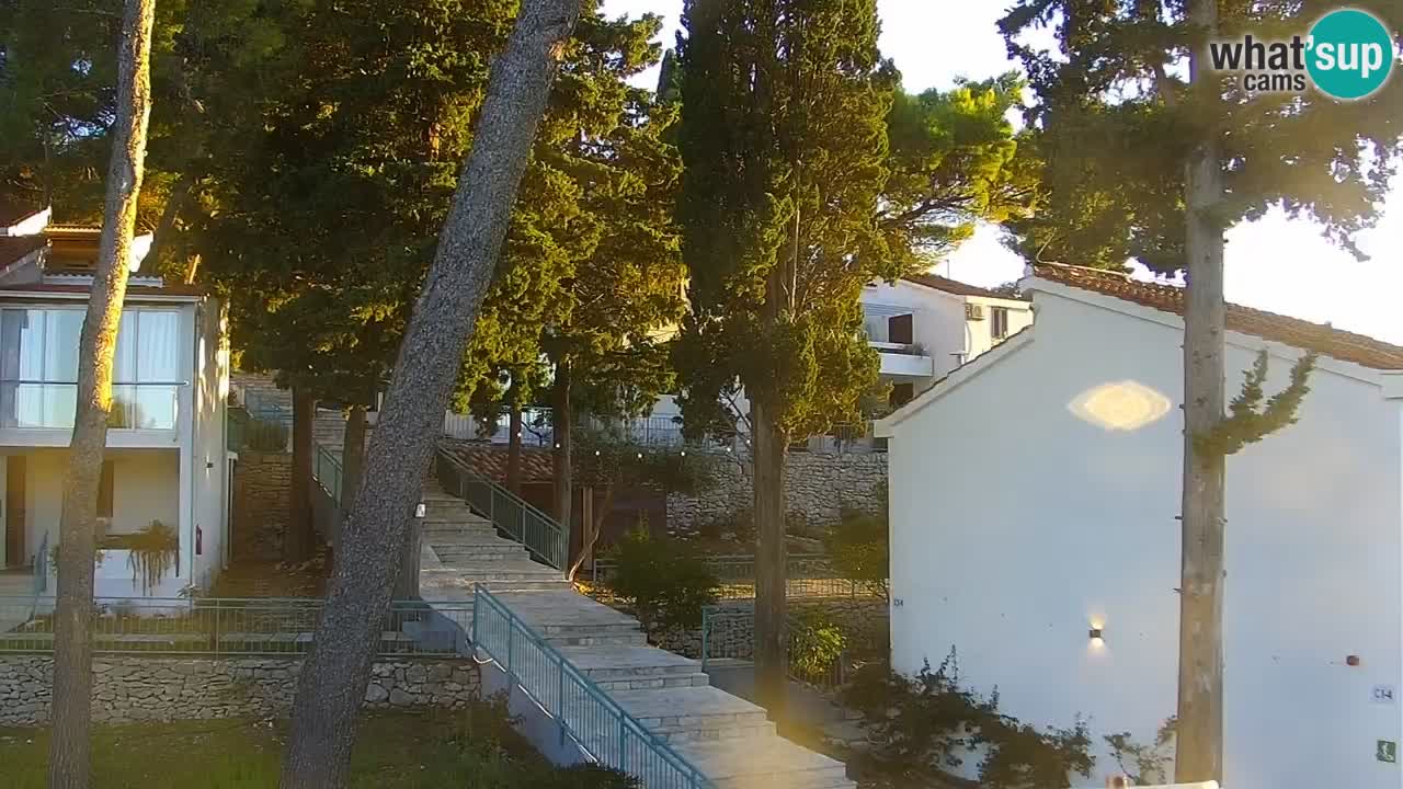Lumbarda resort Webcam Korčula