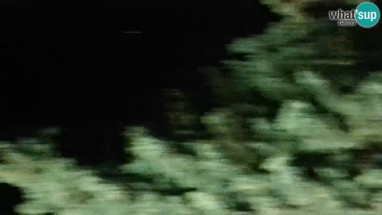 Lumbarda Resort camera en vivo Korčula