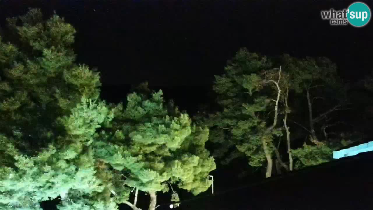 Lumbarda Resort camera en vivo Korčula