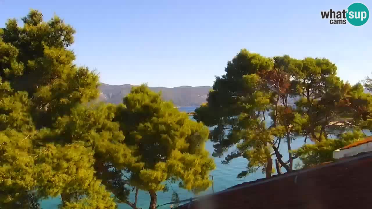 Lumbarda Resort webcam Kurzel
