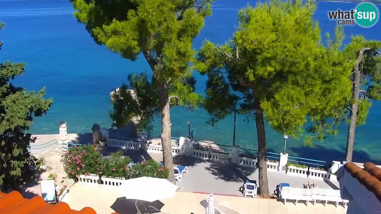 Lumbarda resort Webcam Korčula