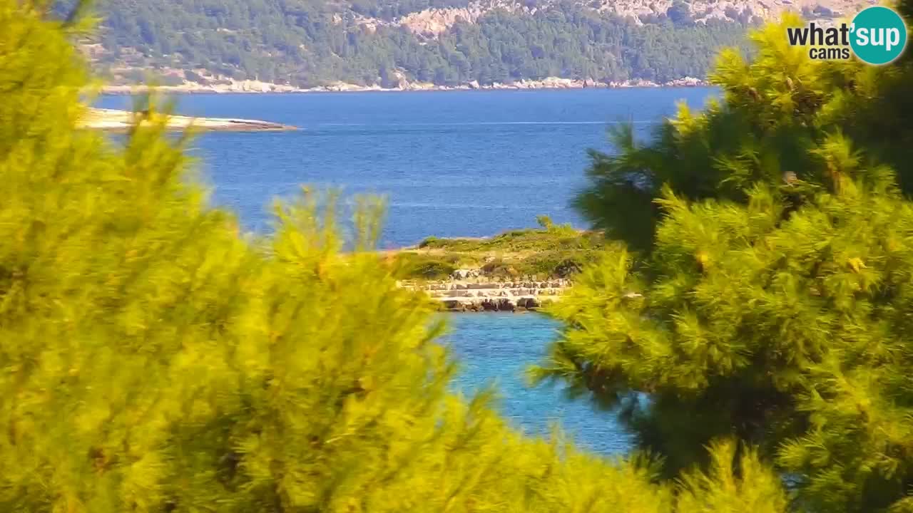 Lumbarda resort Webcam Korčula