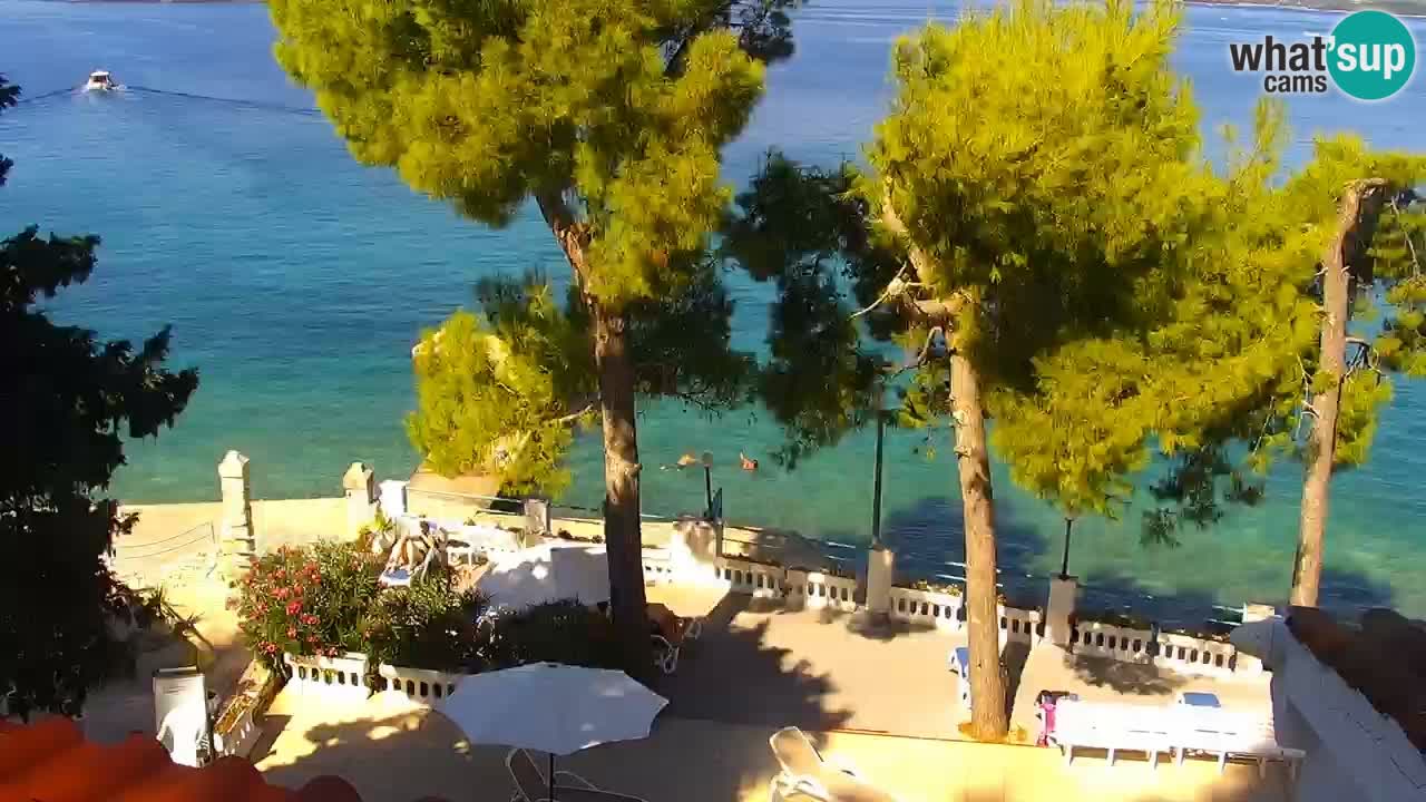 Lumbarda resort Webcam Korčula