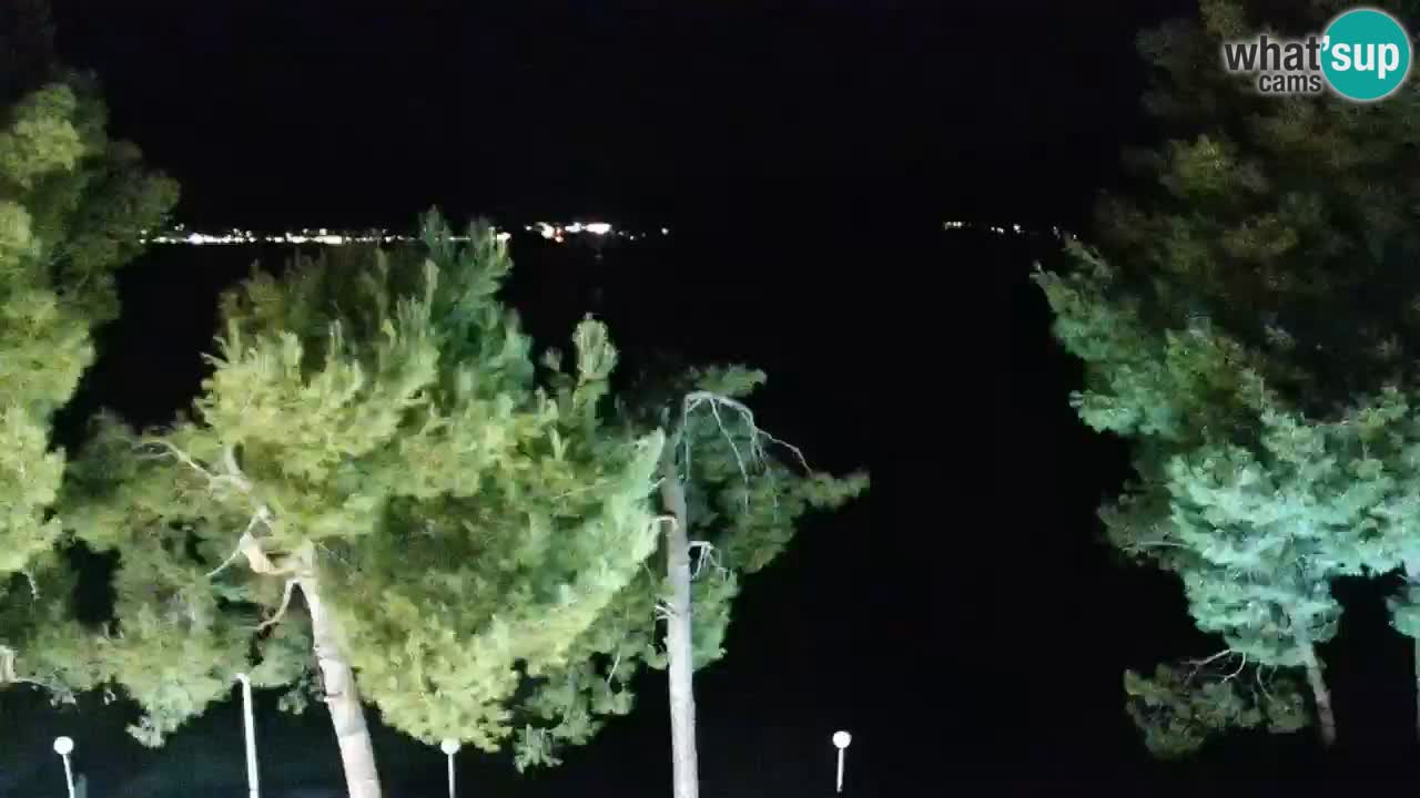 Lumbarda resort Web Kamera Korčula
