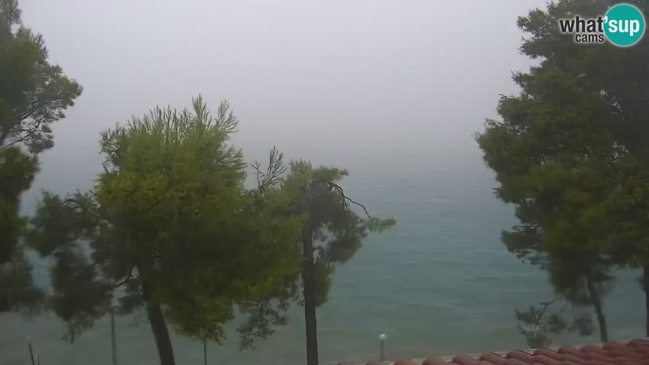 Lumbarda resort Webcam Korčula