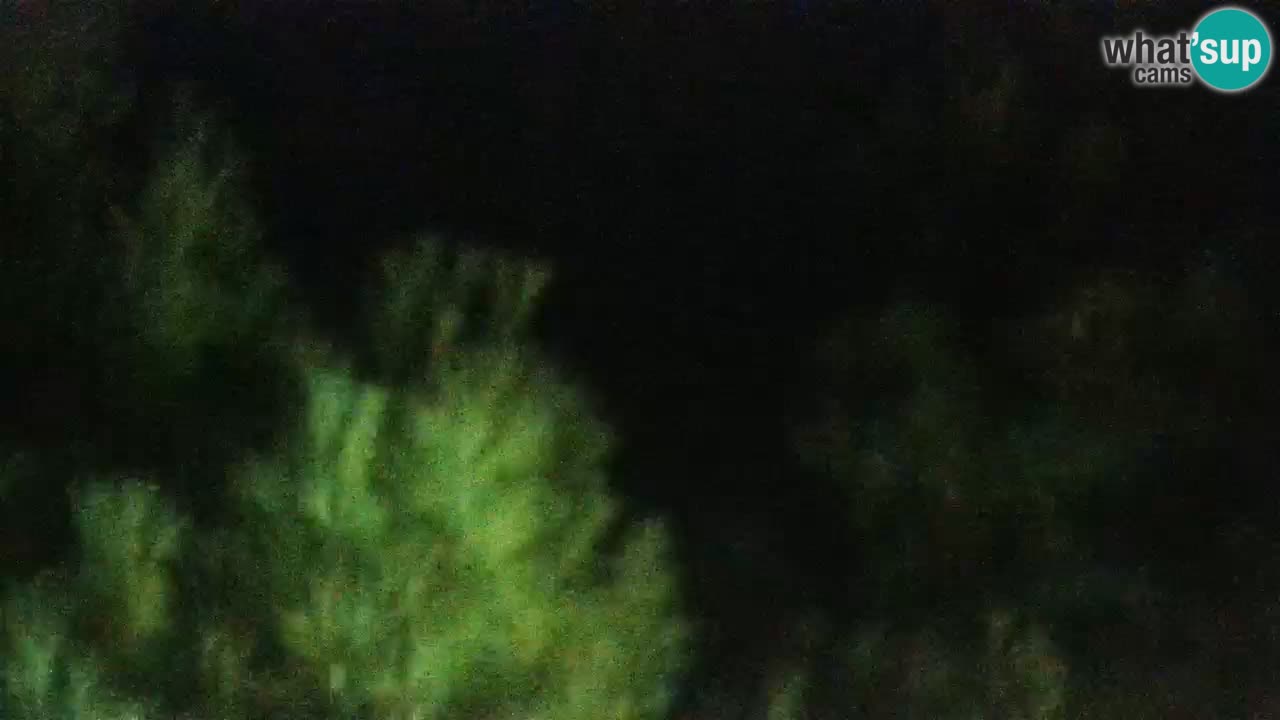 Lumbarda Resort live cam Curzola