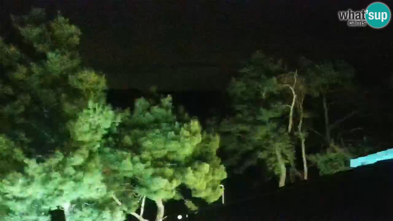 Lumbarda Resort webcam Kurzel
