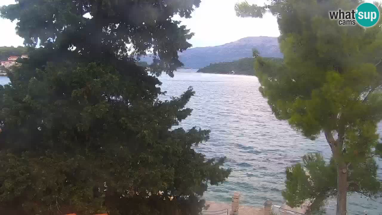 Lumbarda Resort camera en vivo Korčula