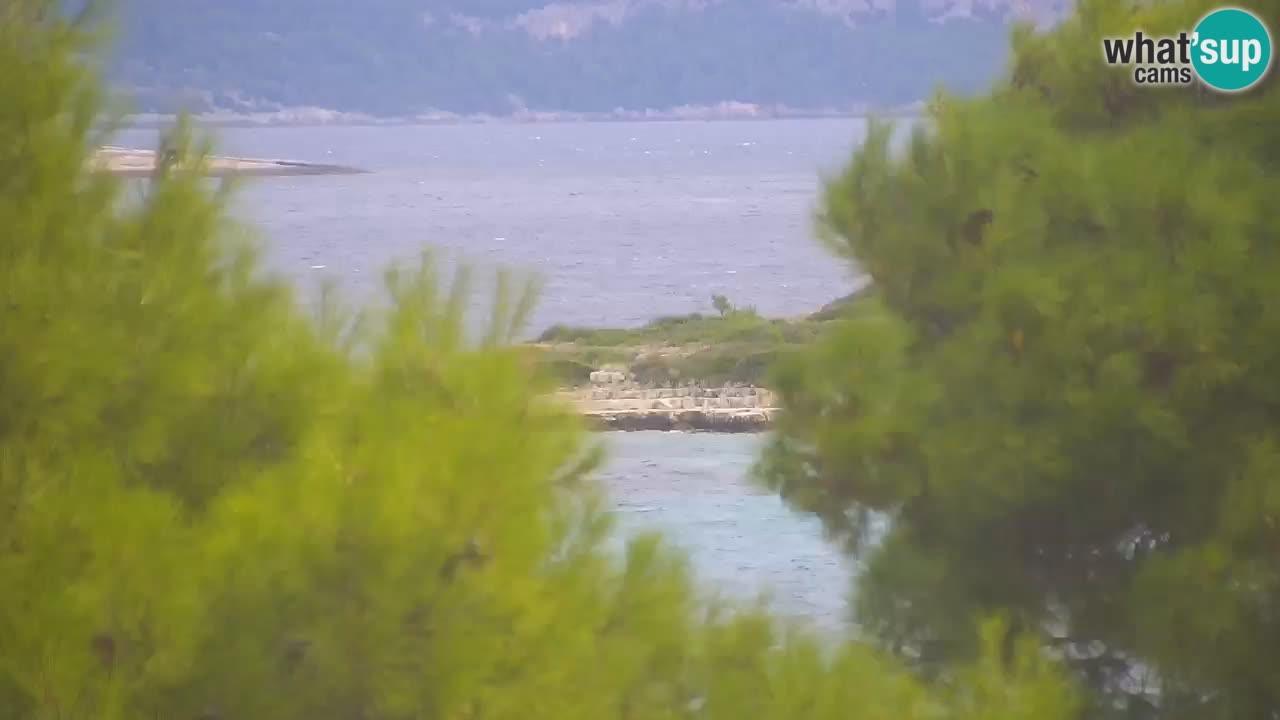 Lumbarda resort – livecam Korčula
