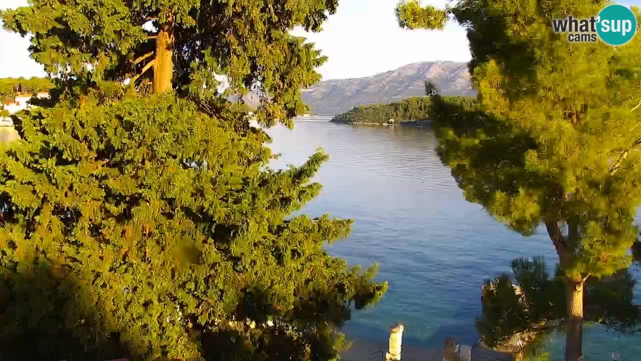 Lumbarda resort – livecam Korčula