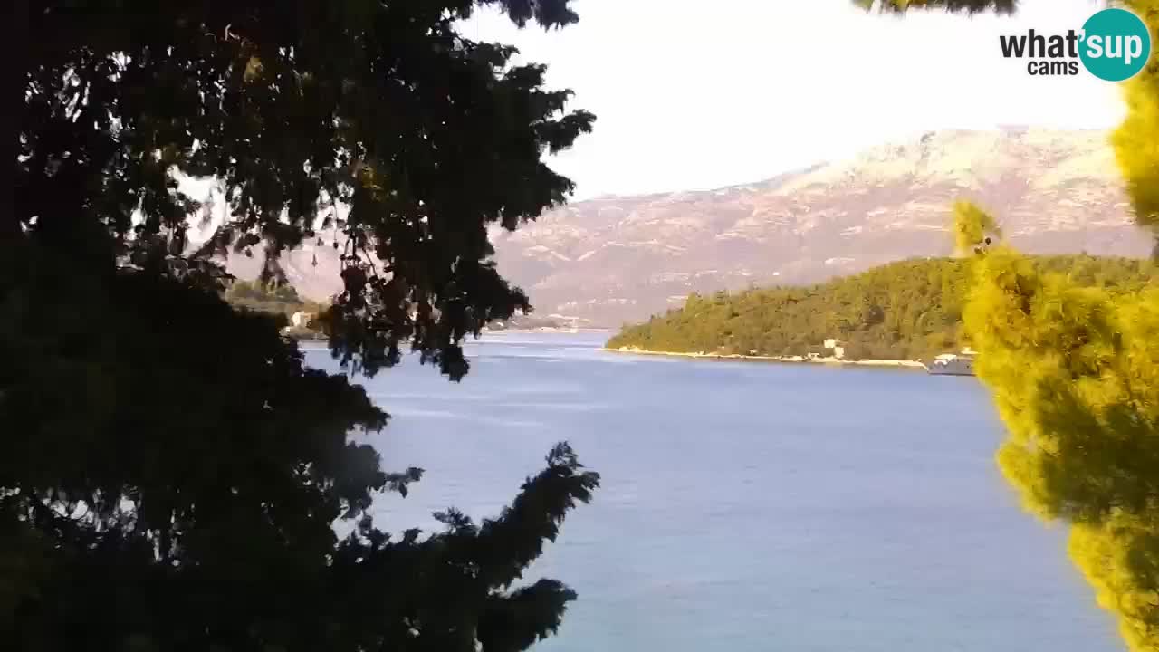 Lumbarda resort Web Kamera Korčula