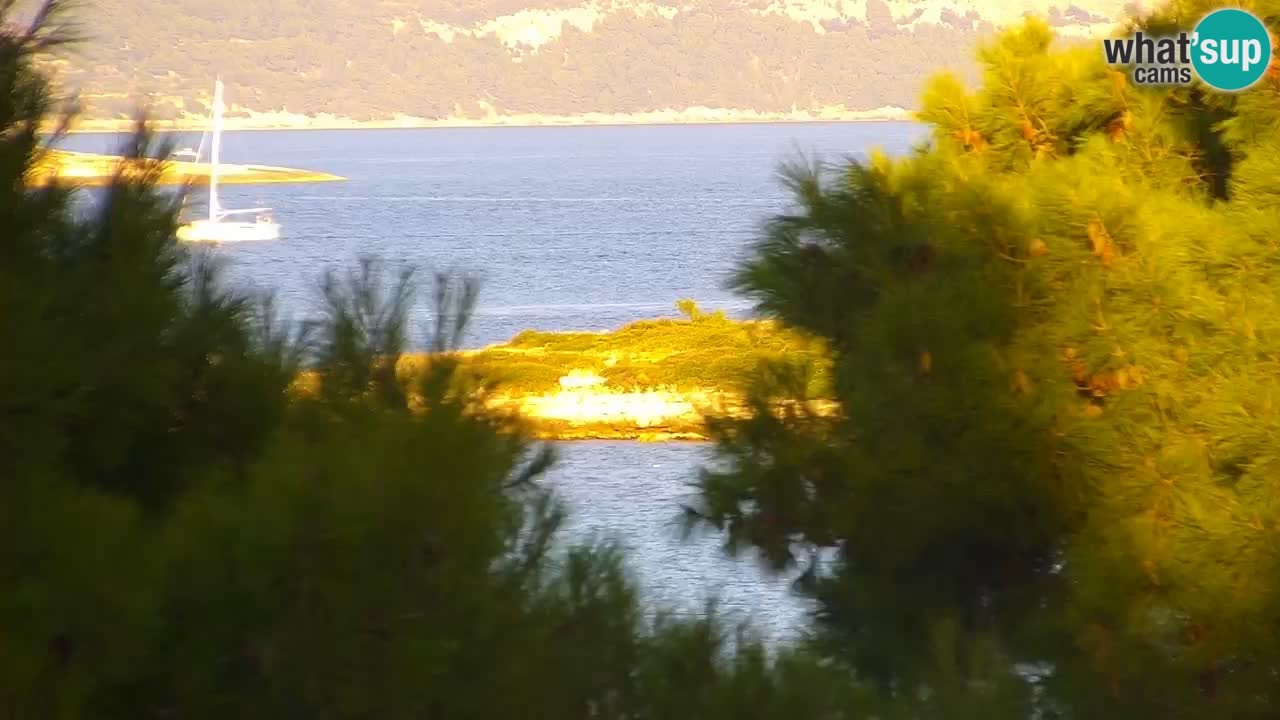 Lumbarda resort Web Kamera Korčula