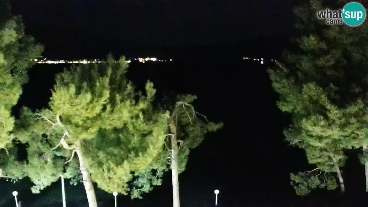 Lumbarda resort Spletna kamera Korčula