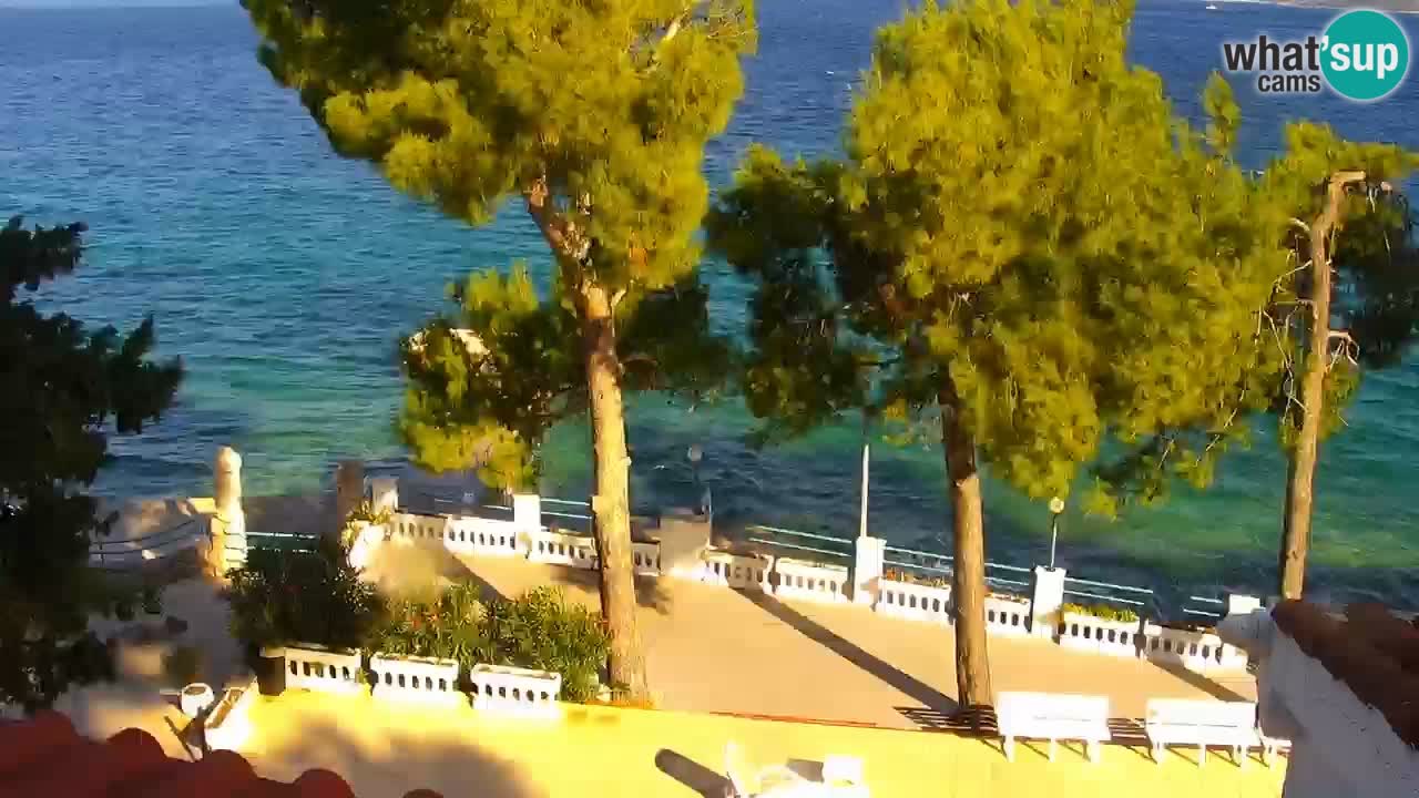 Lumbarda Resort camera en vivo Korčula