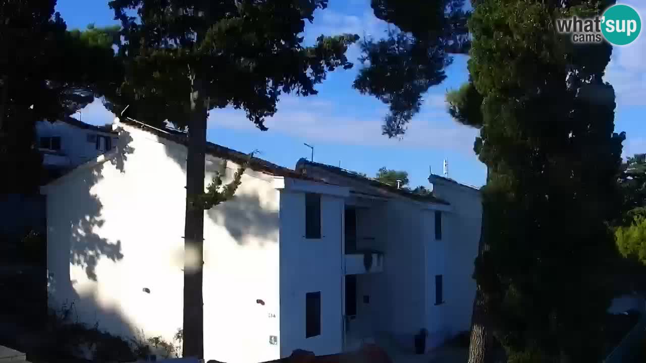 Lumbarda resort Spletna kamera Korčula