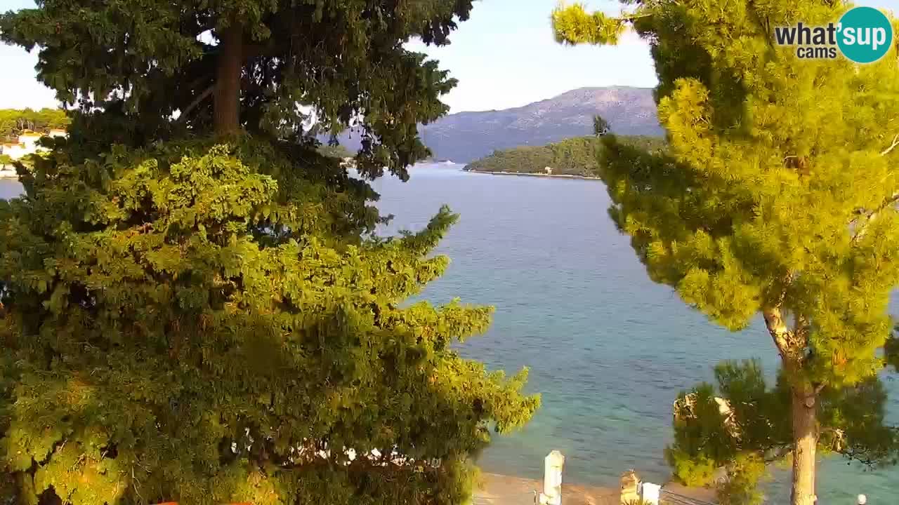Lumbarda resort Spletna kamera Korčula