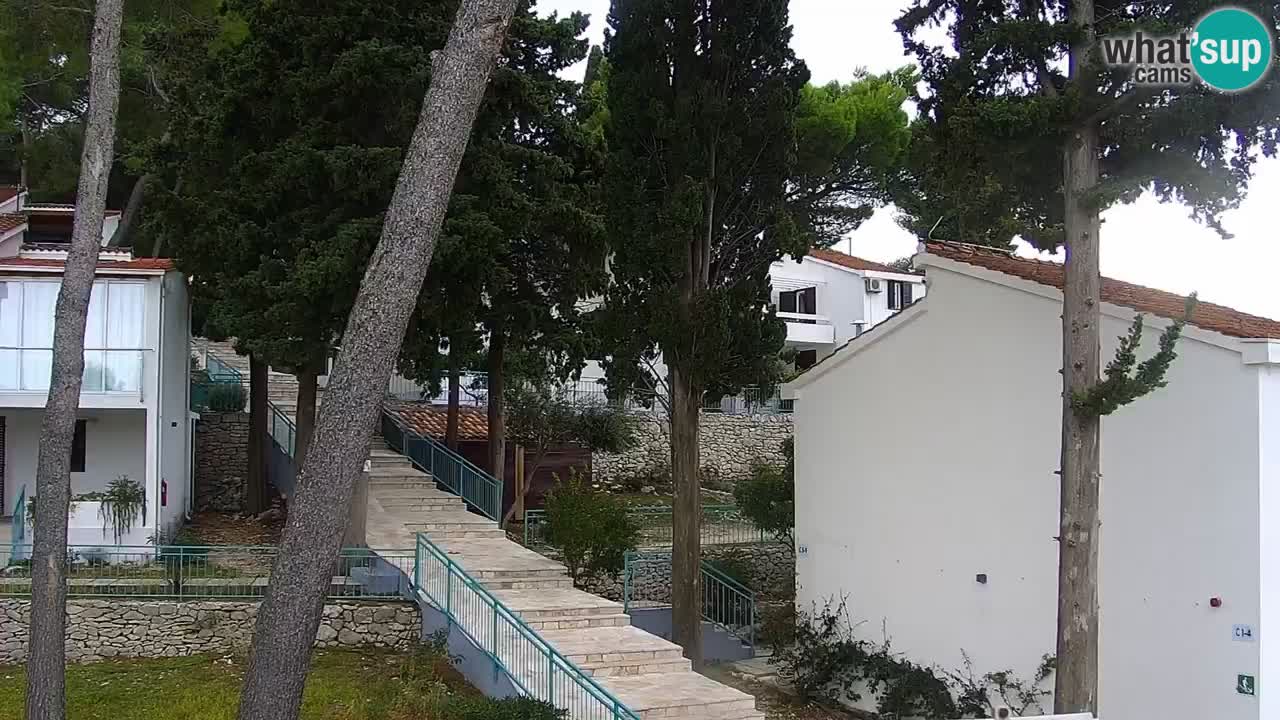 Lumbarda Resort live cam Curzola