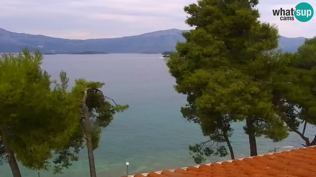 Lumbarda resort – livecam Korčula