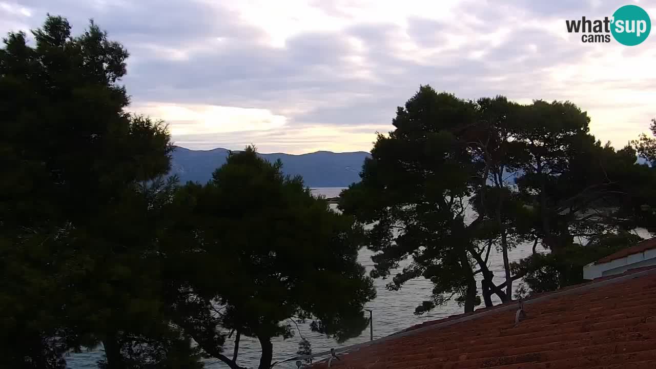 Lumbarda resort – livecam Korčula