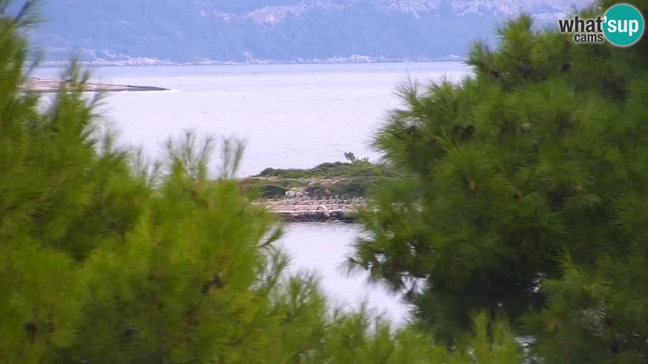 Lumbarda resort Webcam Korčula