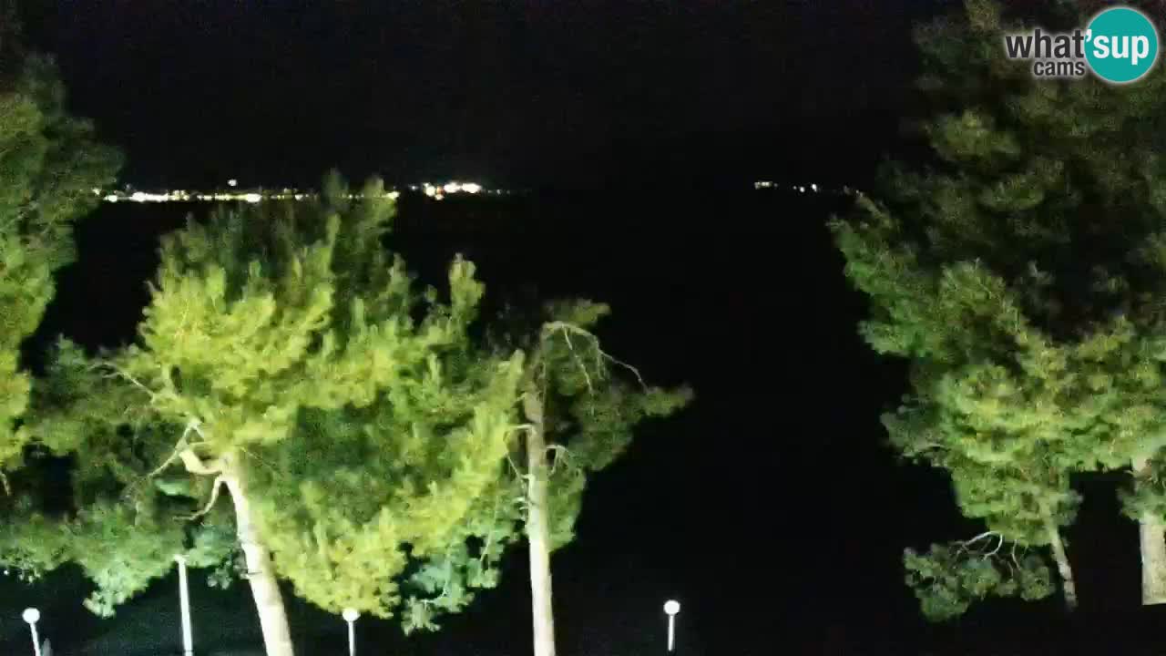 Lumbarda resort – livecam Korčula