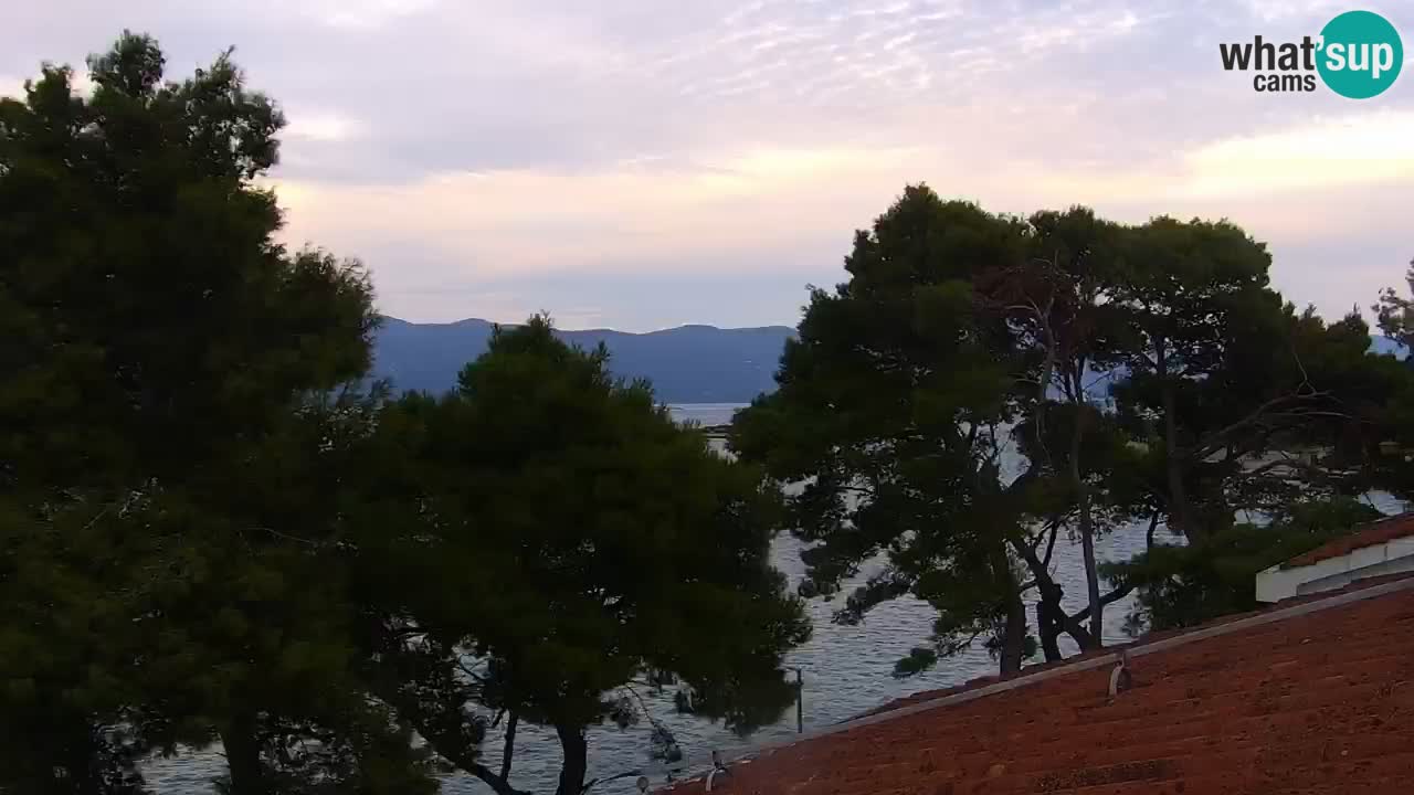 Lumbarda resort – livecam Korčula