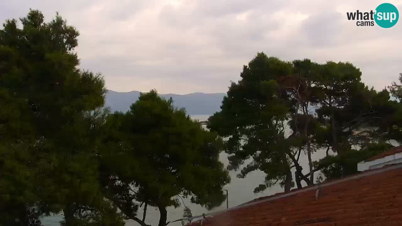 Lumbarda Resort camera en vivo Korčula