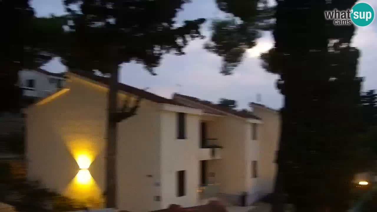 Lumbarda Resort webcam Kurzel