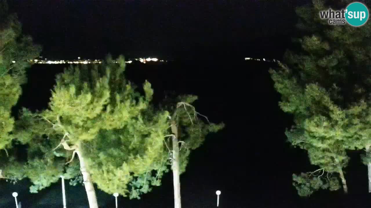 Lumbarda resort Webcam Korčula