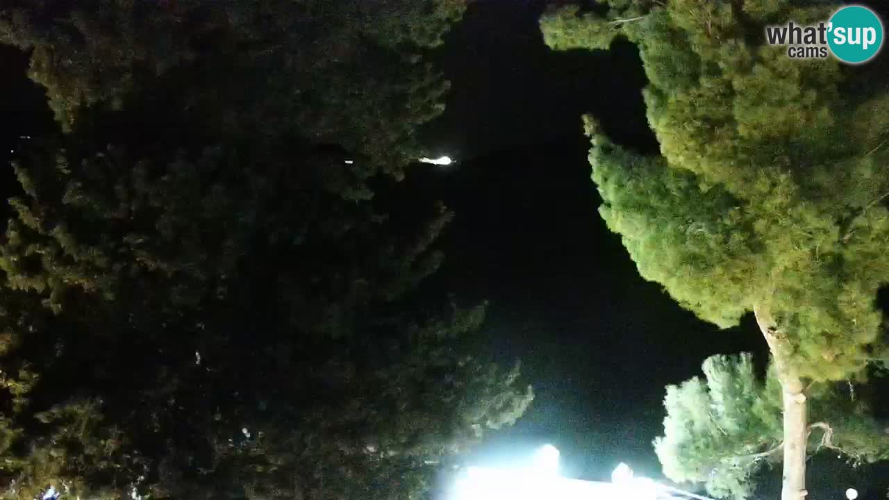 Lumbarda Resort camera en vivo Korčula