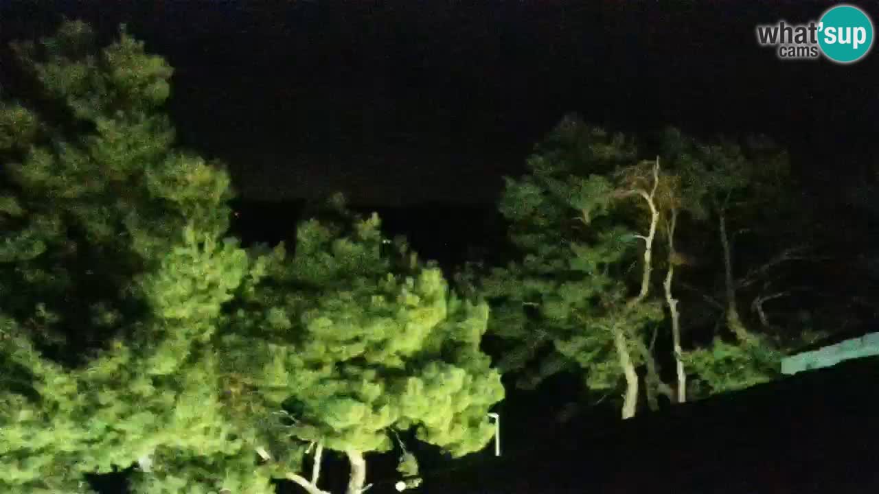 Lumbarda Resort live cam Curzola