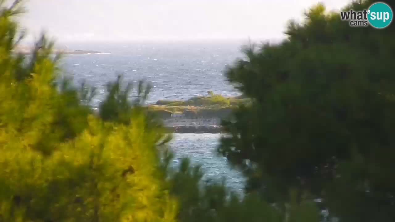 Lumbarda Resort camera en vivo Korčula