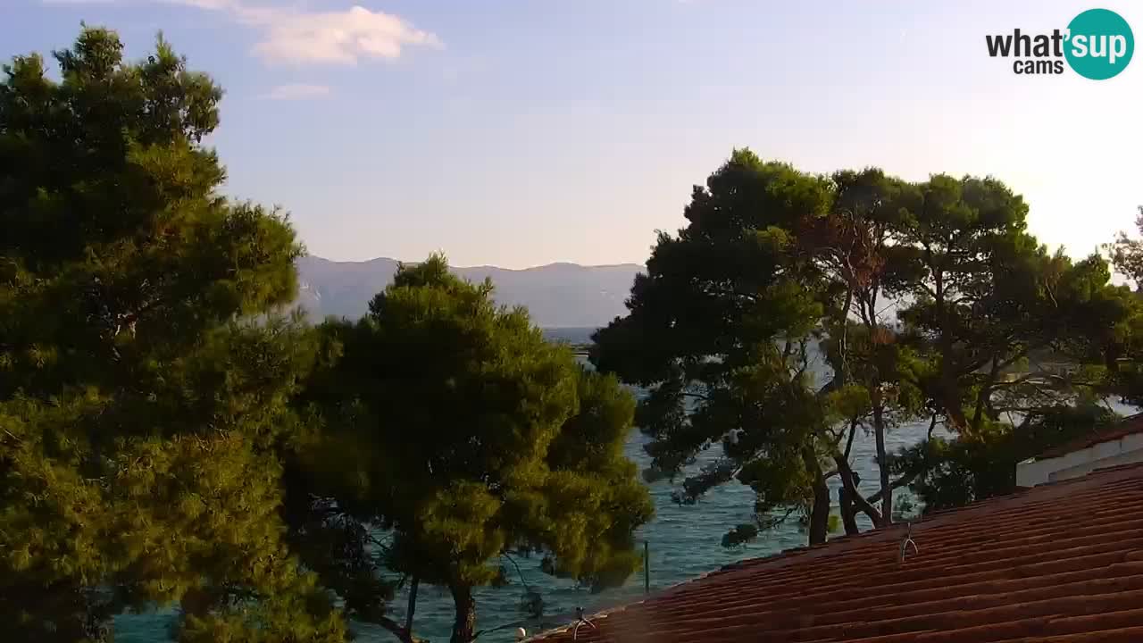 Lumbarda resort – livecam Korčula
