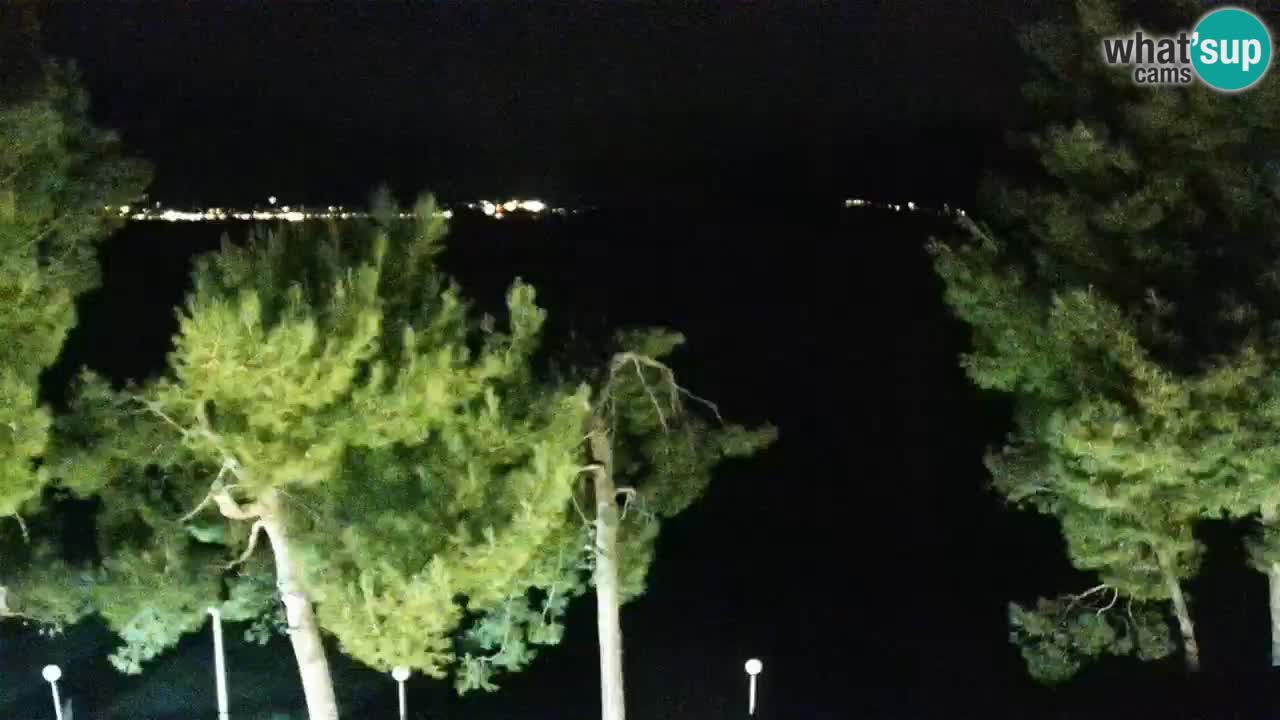 Lumbarda Resort live cam Curzola