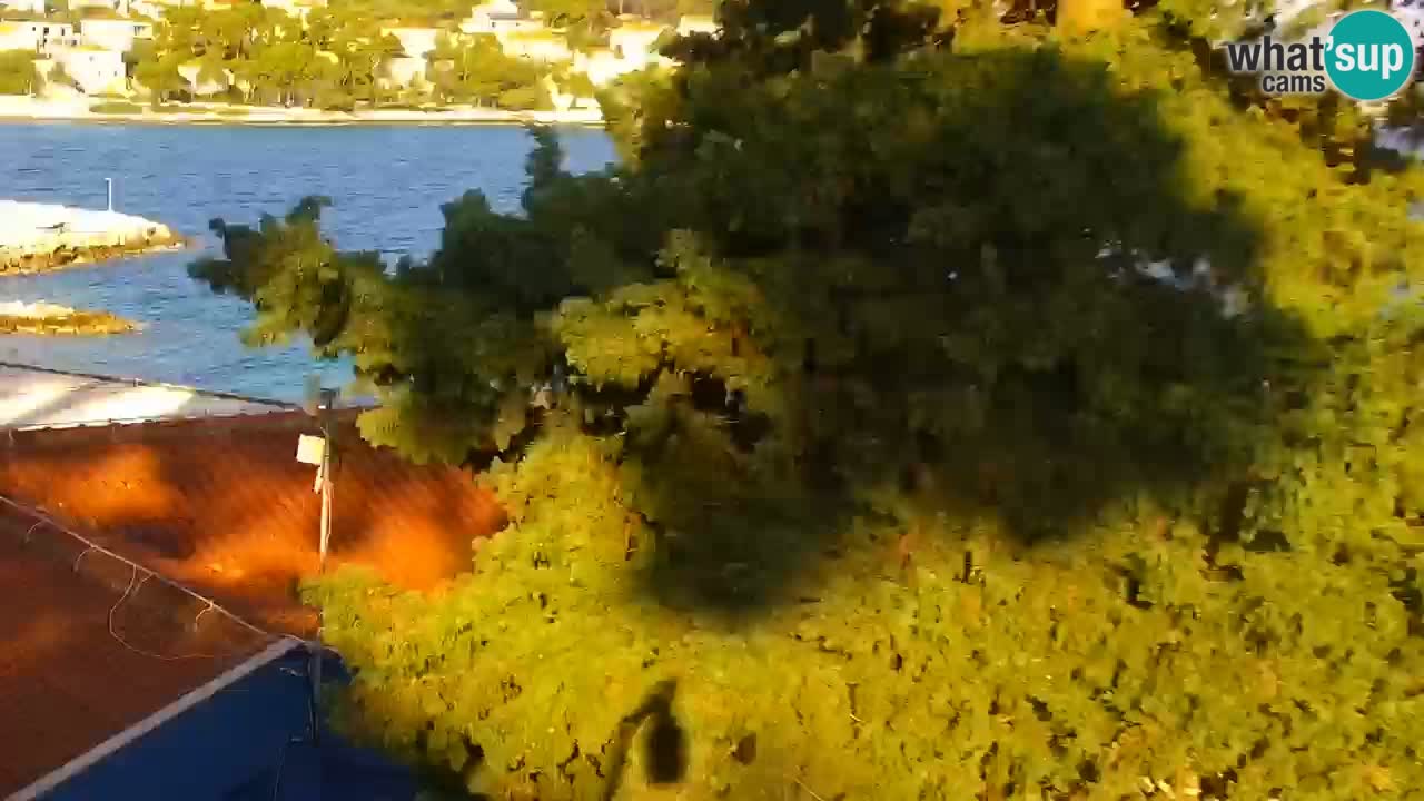 Lumbarda Resort camera en vivo Korčula