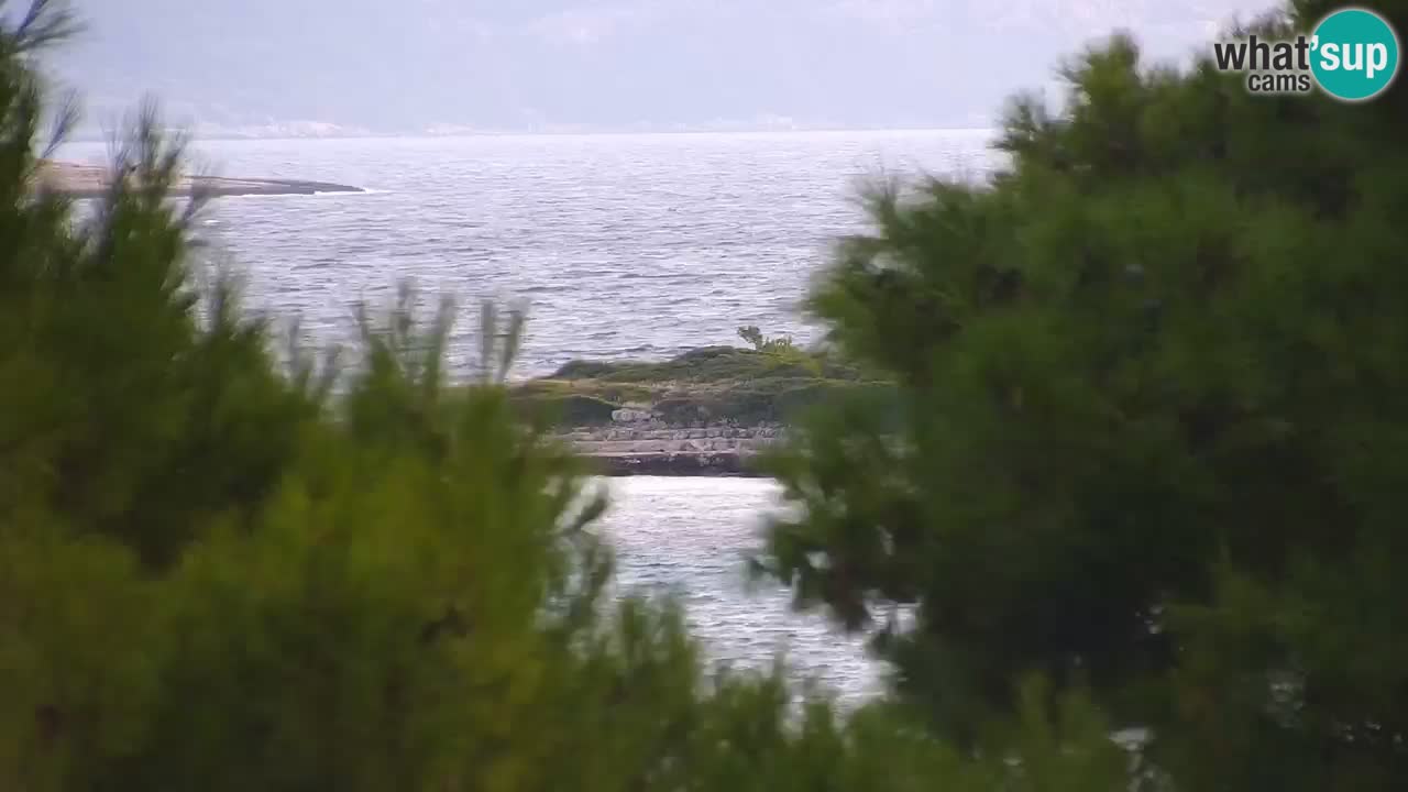 Lumbarda Resort camera en vivo Korčula