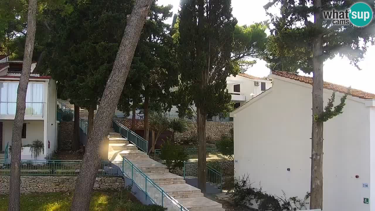 Lumbarda resort Webcam Korčula