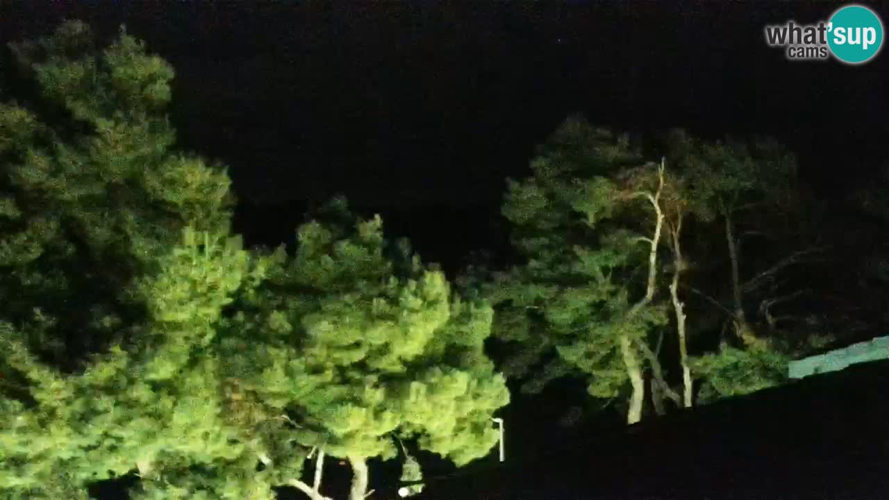 Lumbarda resort – livecam Korčula