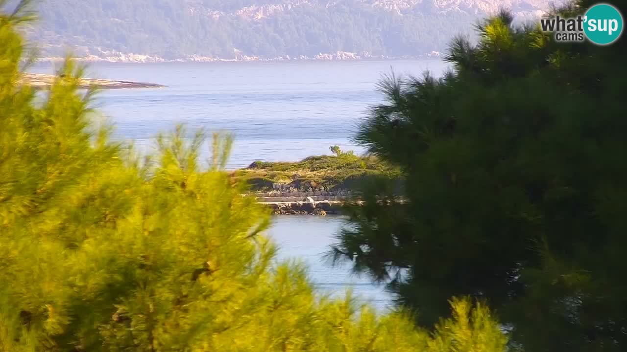 Lumbarda Resort webcam Kurzel