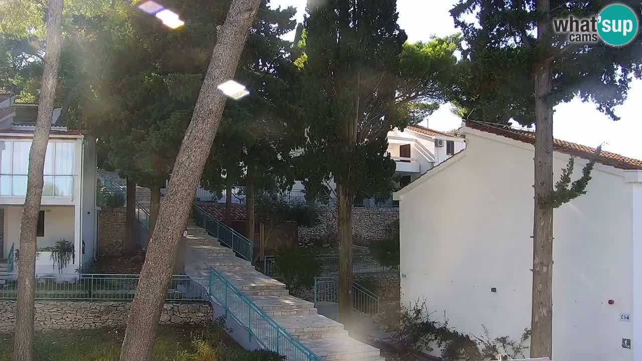 Lumbarda resort – livecam Korčula