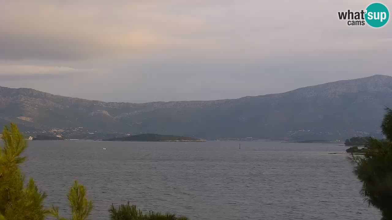 Lumbarda resort Webcam Korčula